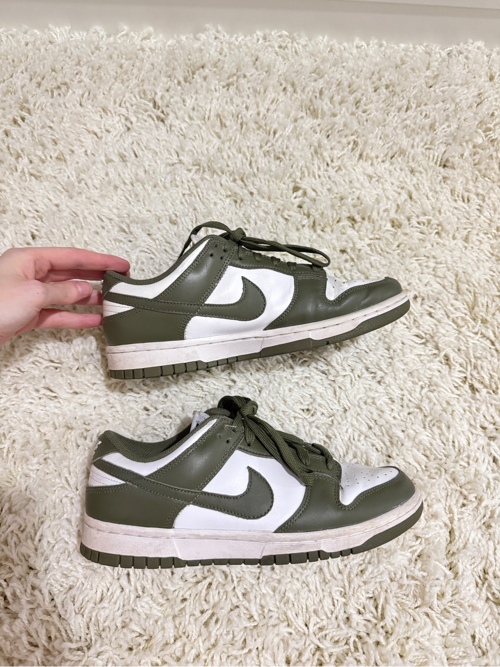 Nike Womens Dunks
